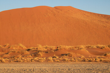 Huge dune in orange color because of the sunrise
