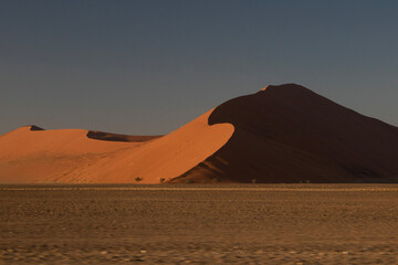 Fototapeta na wymiar huge dune in the desert