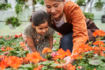 Girl looking at the flowers after planting at the greenhouse with her grandmother