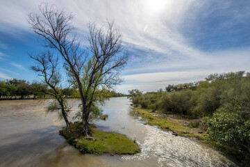 Fototapeta na wymiar paisaje de arbol en medio de un rio