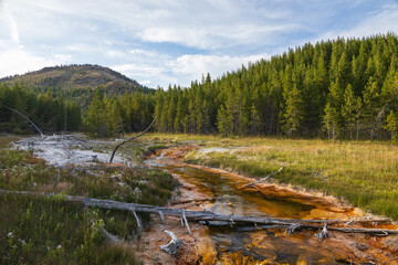 Fototapeta na wymiar Geothermal features at Yellowstone National Park, Wyoming, USA