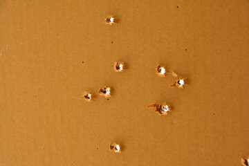 9 mm bullet holes in cardboard.