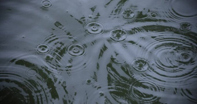 A slow motion of rain drop in the water the pond rainy day closeup