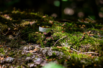 A ring with diamonds lying on a tree trunk covered with moss