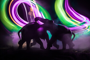 Battle of Elephants. Elephant fighing silhouettes on fire background or Two elephant bulls interact...
