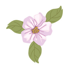 spring lilac flower