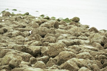 Close up of a stone pier at the North Sea