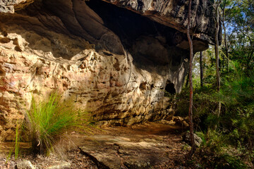 Overhanging sandstone rock shelter on Bomaderry Creek Gorge walking trail, Bomadarry, Nowra, NSW Australia