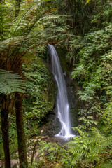 Waterfall in Tauranga, New Zealand