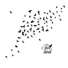 A flock of flying birds. Vector illustration