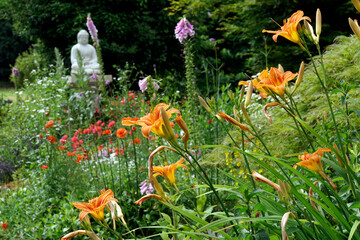 Gelbrote Taglilie (Hemerocallis fulva) © etfoto