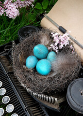 A nest of blue eggs in a typewriter