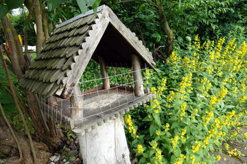 Vogelfutterhaus und Gilbweiderich (Lysimachia punctata)