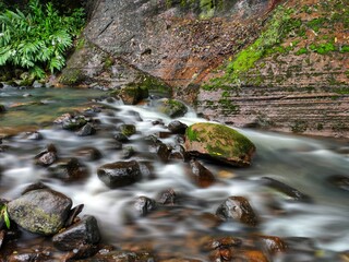 river in the forest