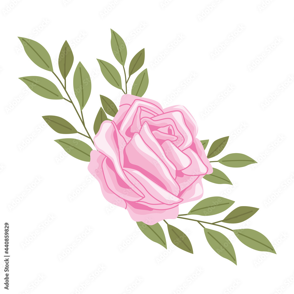 Sticker pink rose spring flower