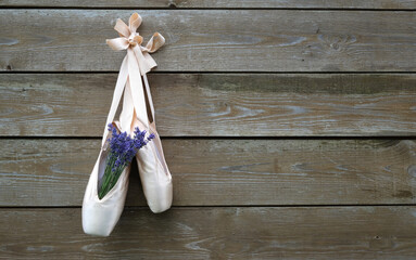Pointe shoes hang on a wooden wall, they are lavender