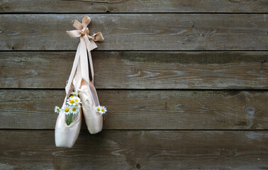 Pointe shoes hang on a wooden wall, with chamomile flowers stuck in them