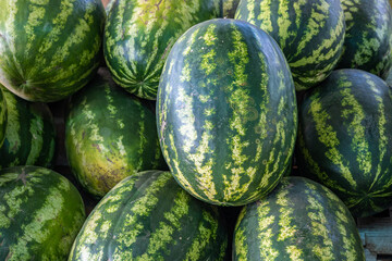 A pile of organic watermelons at a farmer's market