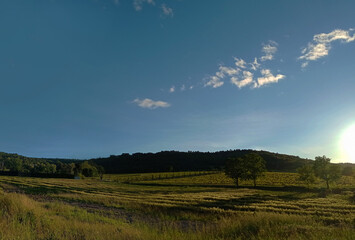 sunset on peacefull landscape vineyards and forest  in Southern France