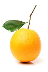 Orange fruit on the white background 