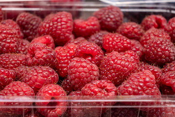 Fresh raspberries, raspberry tray close-up
