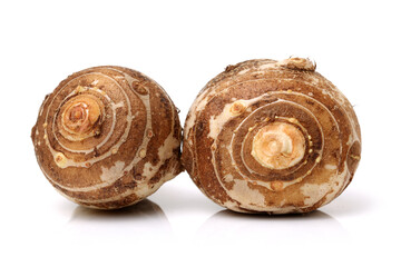 Taro on white background