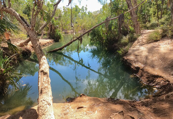 Gregory river ,north Queensland, Australia.