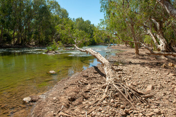 Gregory river ,north Queensland, Australia.