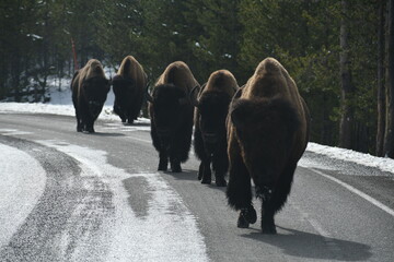 Leadership, organization, planning for the future © SemperFi-singleshot