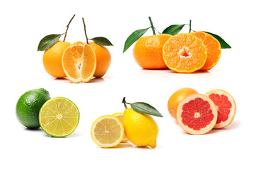 Citrus collection on white background