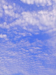 雨上がりの空　鱗雲　鰯雲