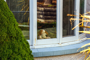 Teddy bears in a house window, part of the 