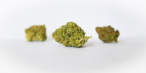 cannabis buds