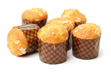 cup shape sponge cake on white background