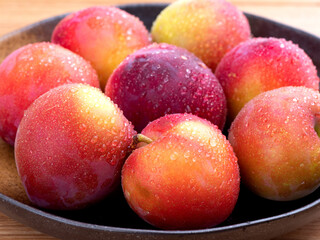 プラム　大石早生