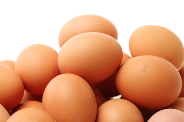 eggs on a white background