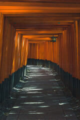 Fushimi inari from Kyoto,Japan