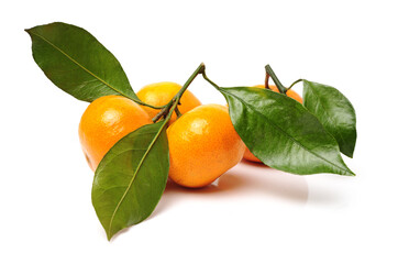 tangerine with leaves