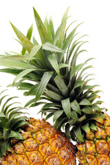 pineapple on white background