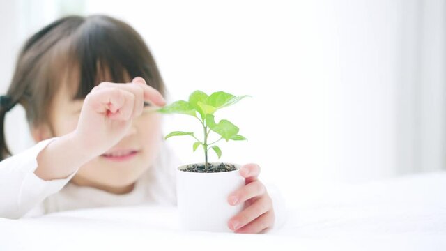 植物を見る女の子　環境イメージ　スローモーション