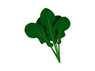 野菜イラスト（ほうれん草、ホウレンソウ）