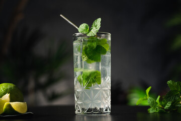 tropical night drink mojito with foliage background