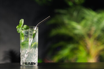 tropical night drink mojito with foliage background