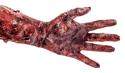 zombie hand with five fingers, open hand, isolated white background, halloween hand.