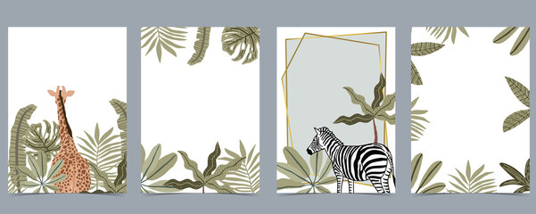 Safari collection with giraffe and zebra are standing on white background - obrazy, fototapety, plakaty