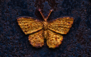 Rostiger Schmetterling
