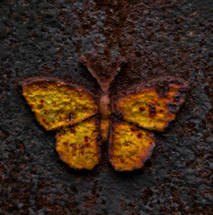 Rostiger Schmetterling