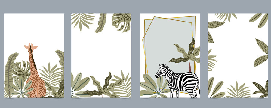 Safari collection with giraffe and zebra are standing on white background