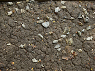 wet soil on the ground with stone