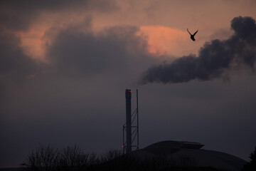 smoke from the chimney